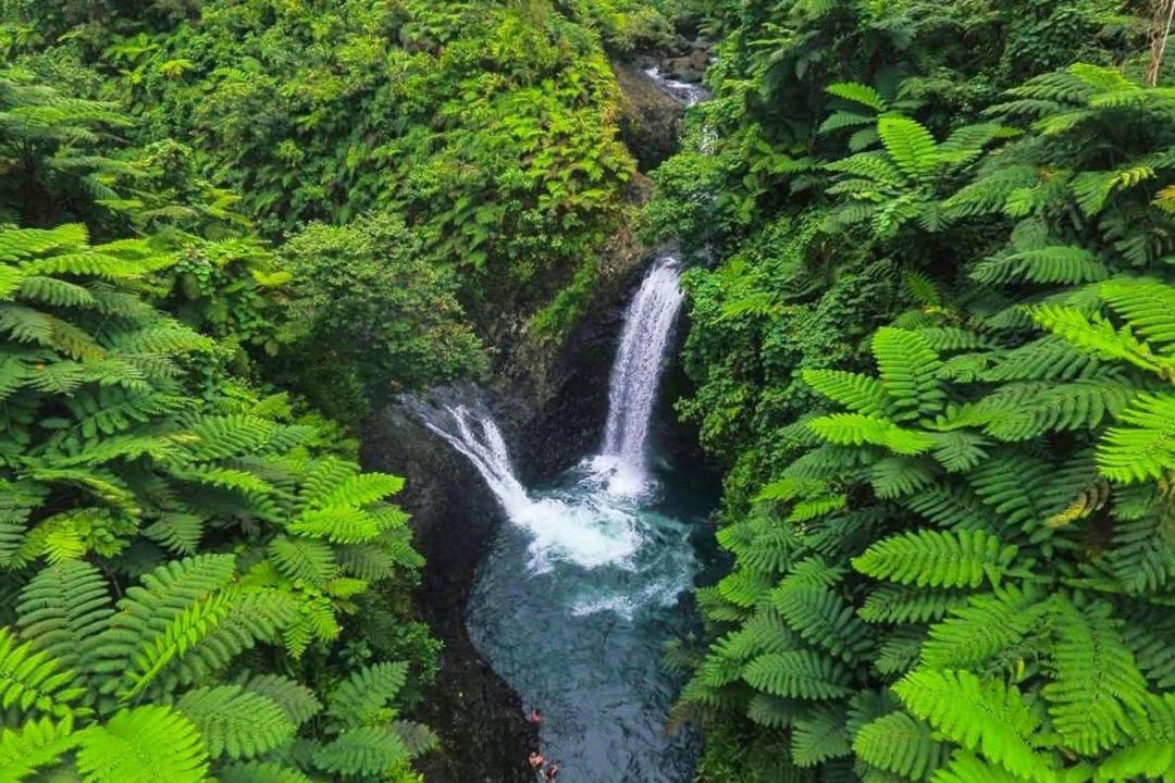Photo of Others in Taveuni Island East