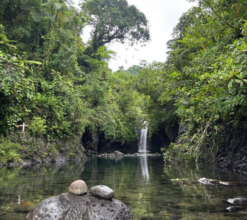 Photo of Others in Taveuni Island East