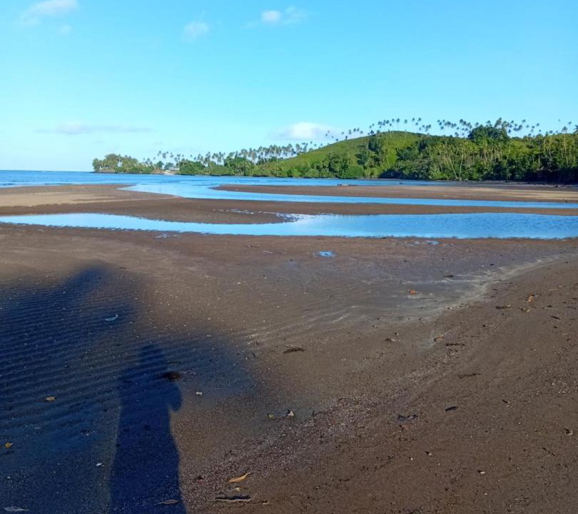 Photo of Others in Taveuni Island East
