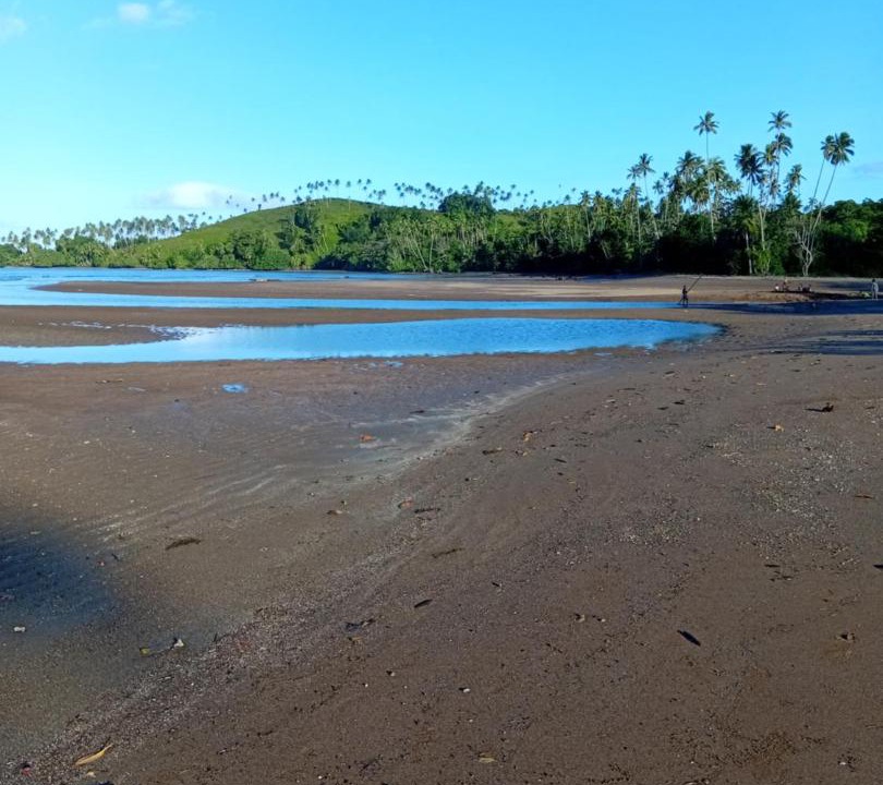 Photo of Others in Taveuni Island East