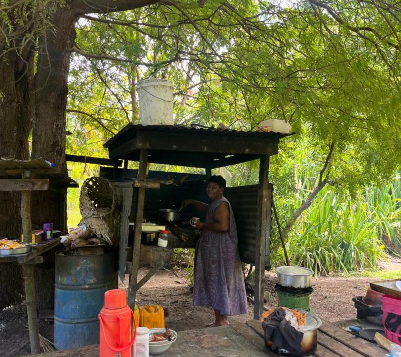 Photo of Kitchen in Naviti Island