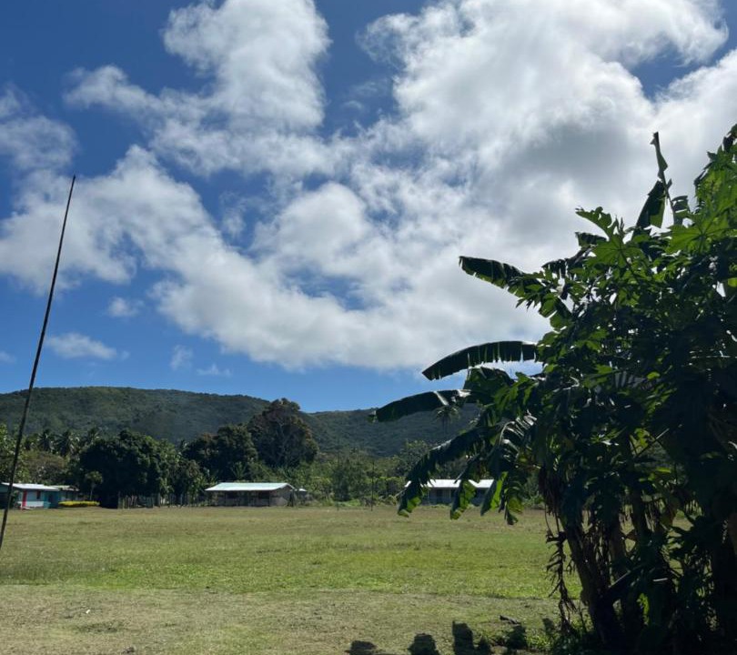 Photo of Others in Naviti Island