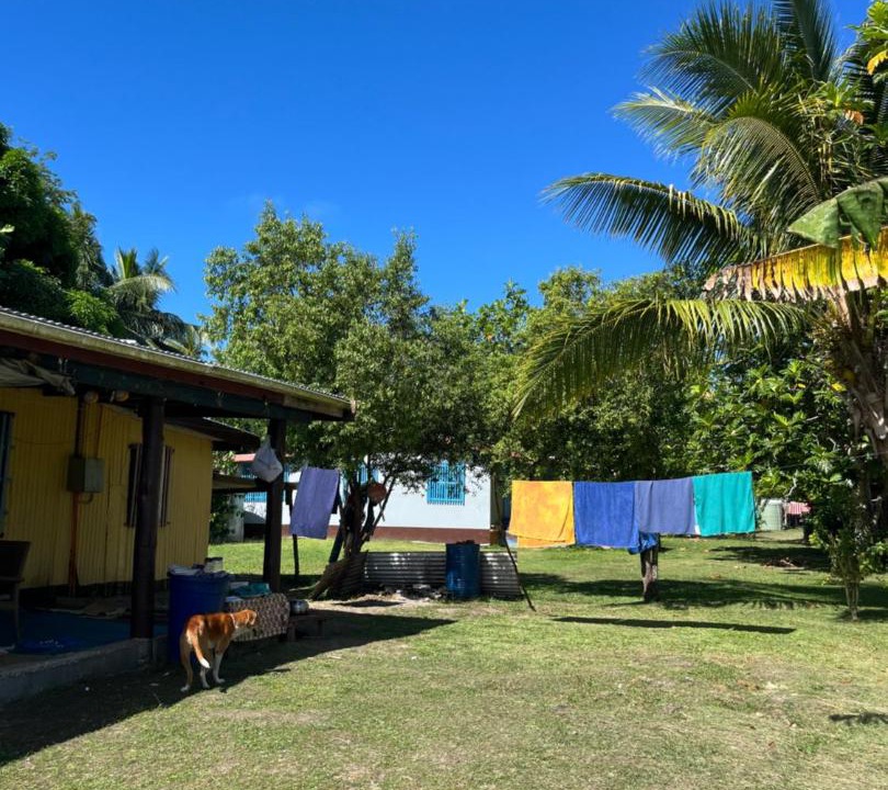 Photo of Others in Naviti Island