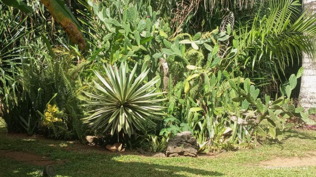 Photo of Others in Las Terrenas