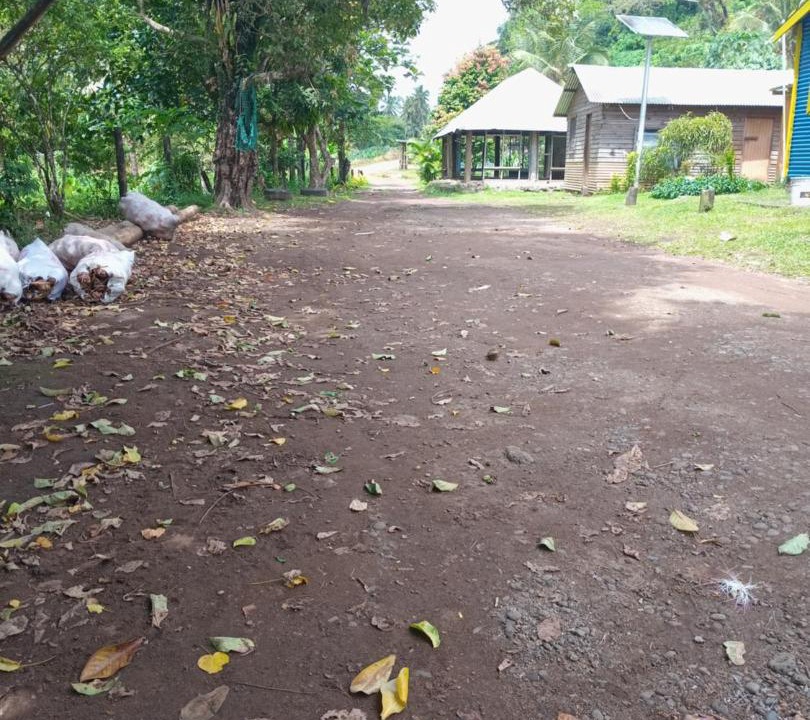 Photo of Others in Likuri Island