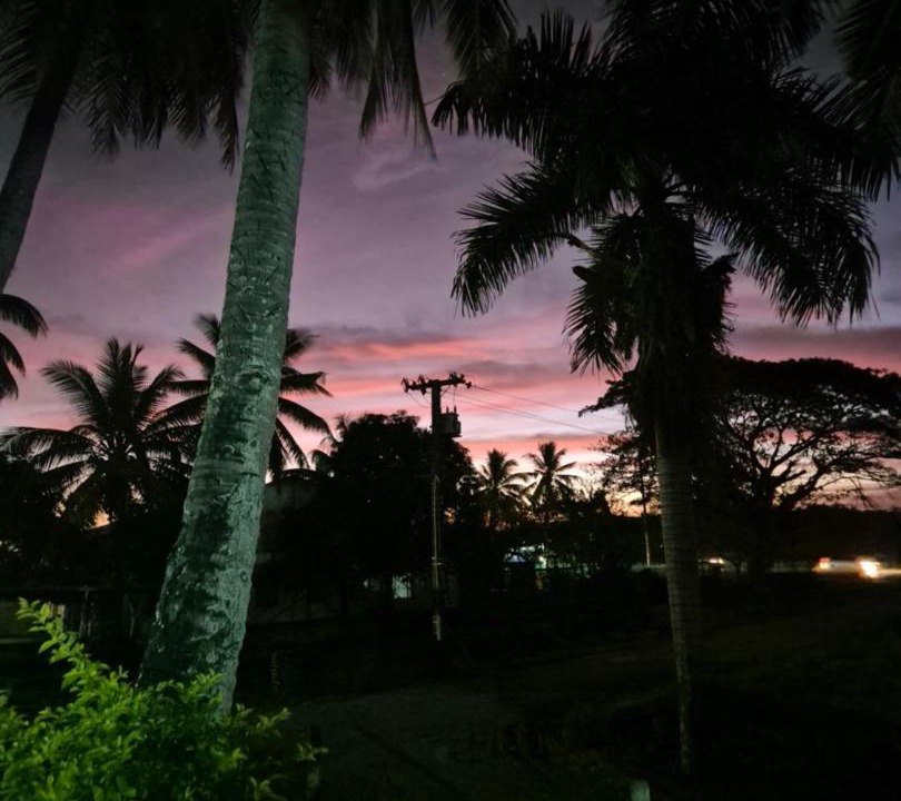 Photo of Others in Nadi