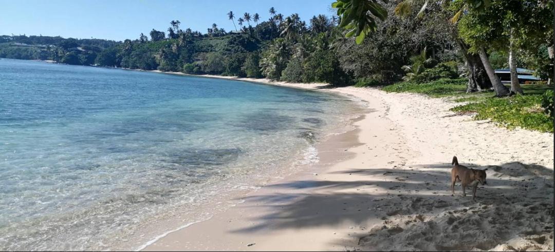 Photo of Others in Taveuni Island East