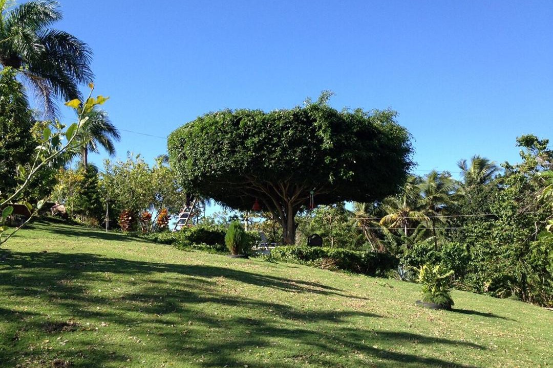 Photo of Outdoor in Cabrera