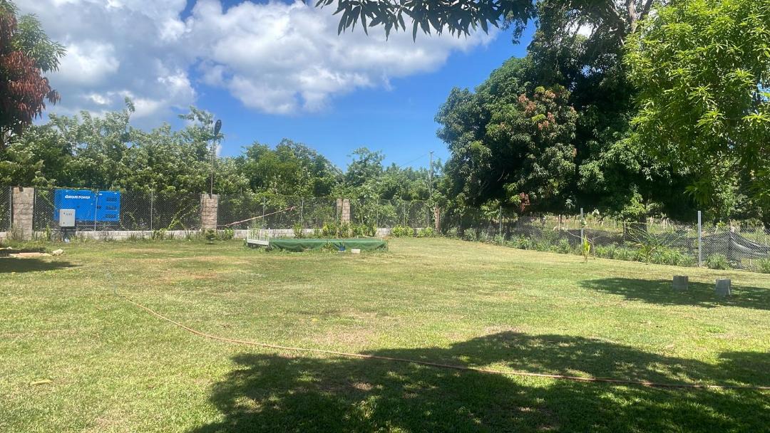 Photo of Others in Las Galeras