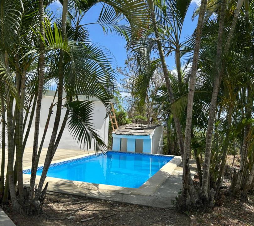 Photo of Others in Puerto Plata