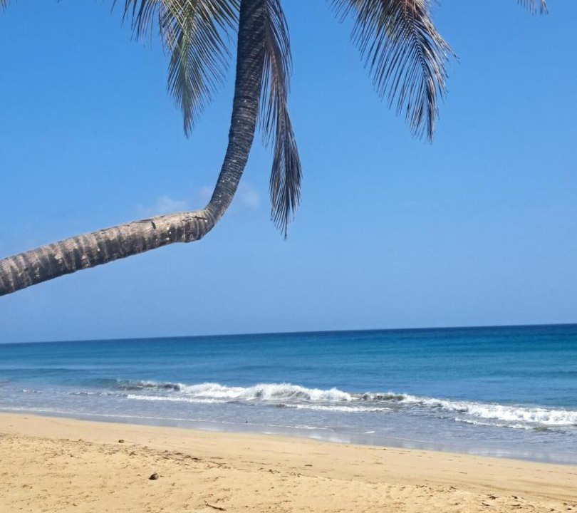 Photo of Others in Las Terrenas