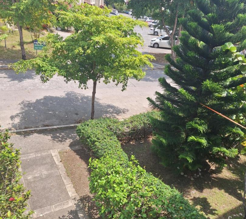 Photo of Outdoor in Pantoja
