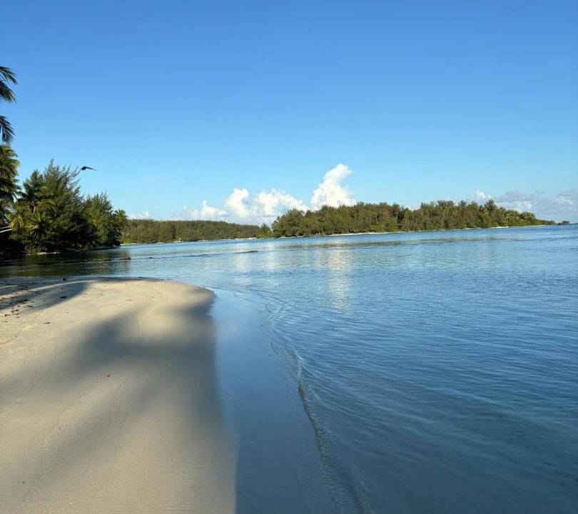 Photo of Others in Moorea-Maiao