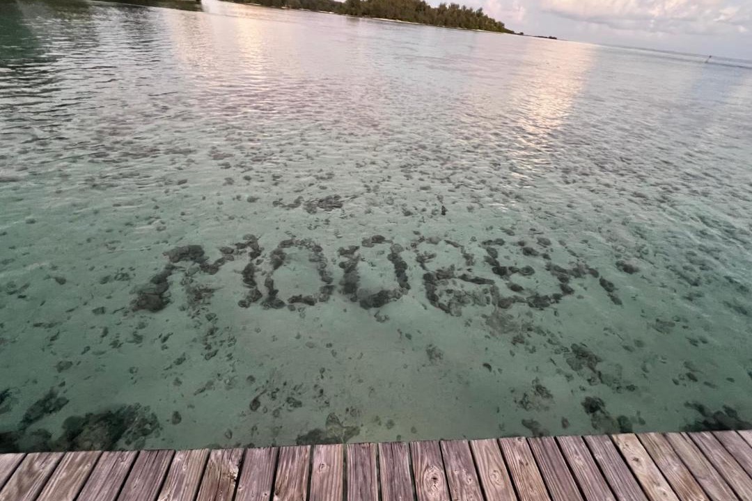 Photo of Others in Moorea-Maiao