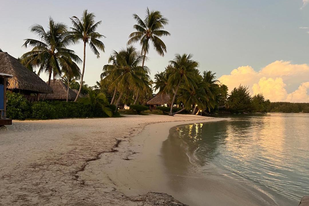 Photo of Others in Moorea-Maiao