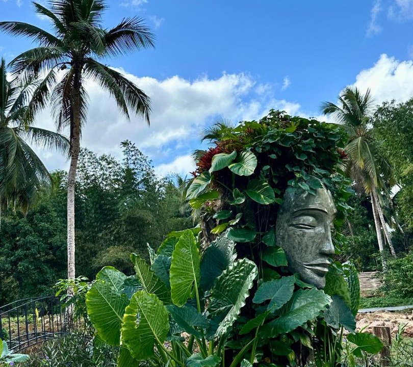 Photo of Others in Samana