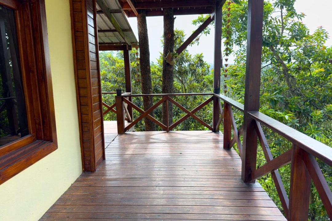 Photo of Patio Balcony in Constanza