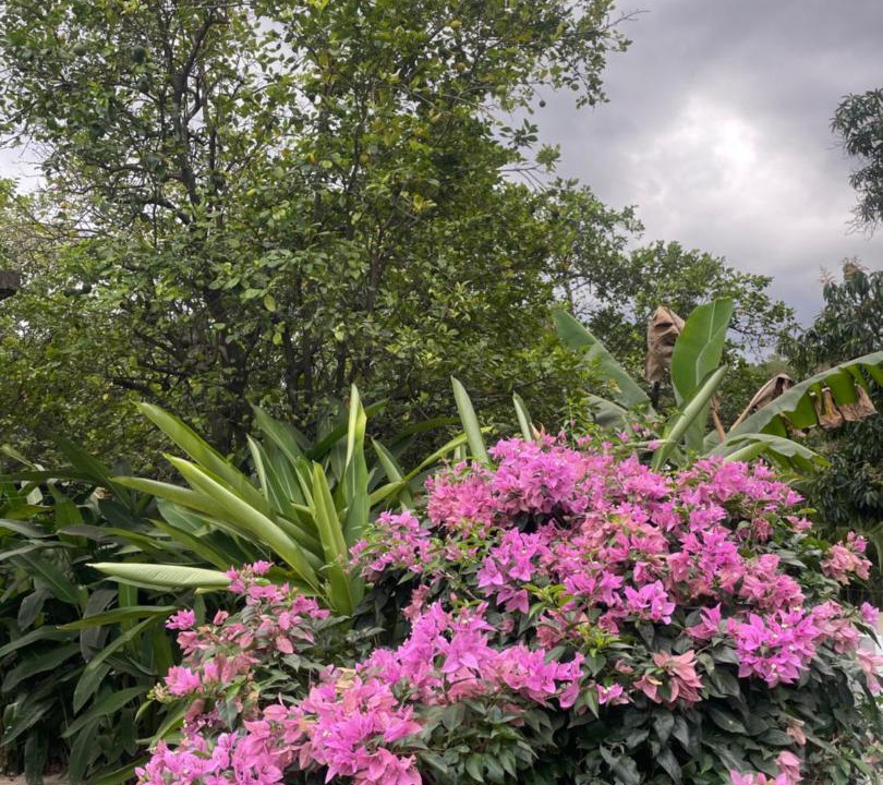 Photo of Outdoor in Moncion