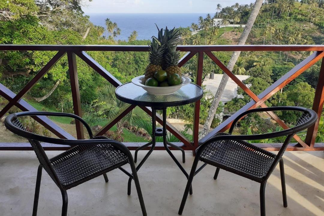Photo of Patio Balcony in Samana