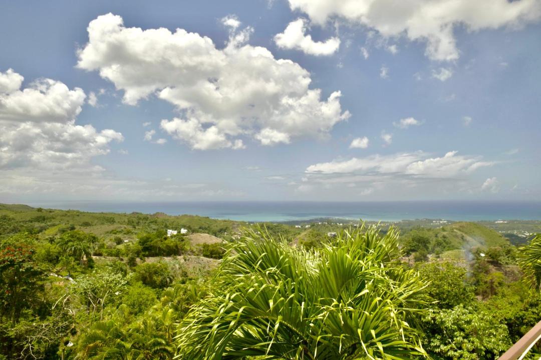 Photo of Others in Las Terrenas