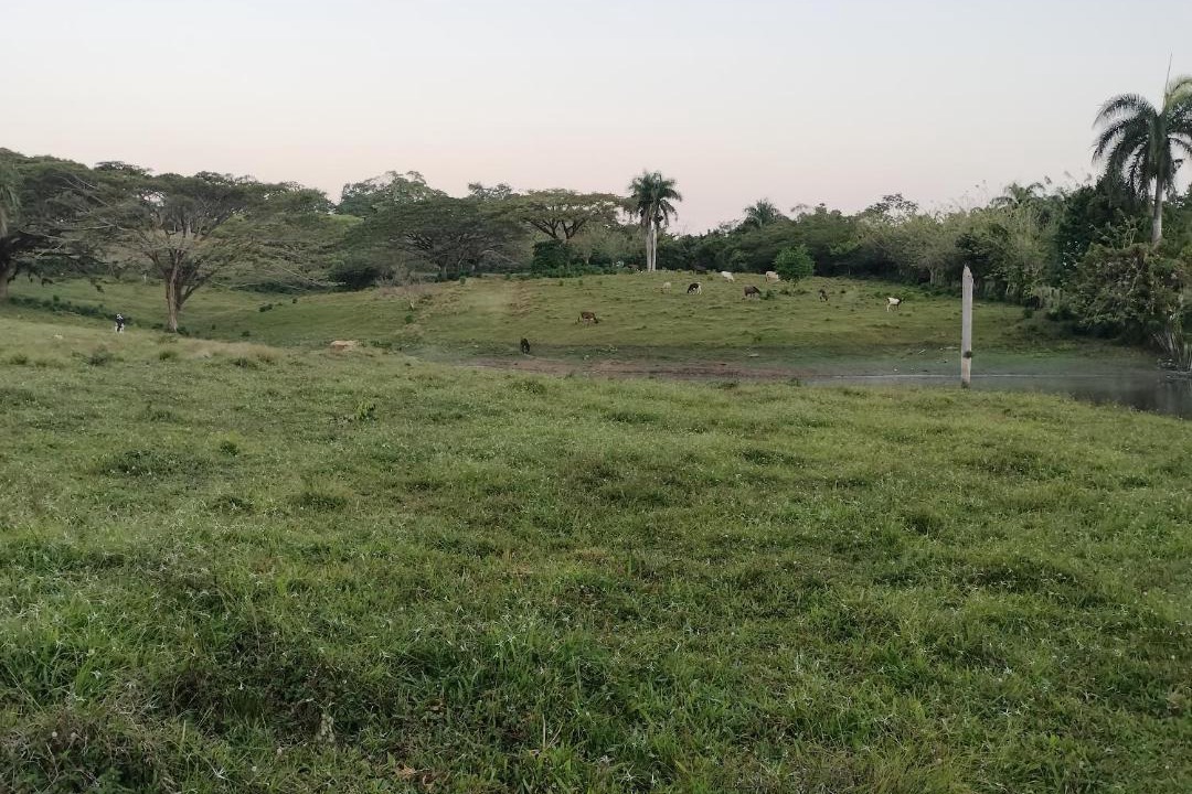 Photo of Others in Magante
