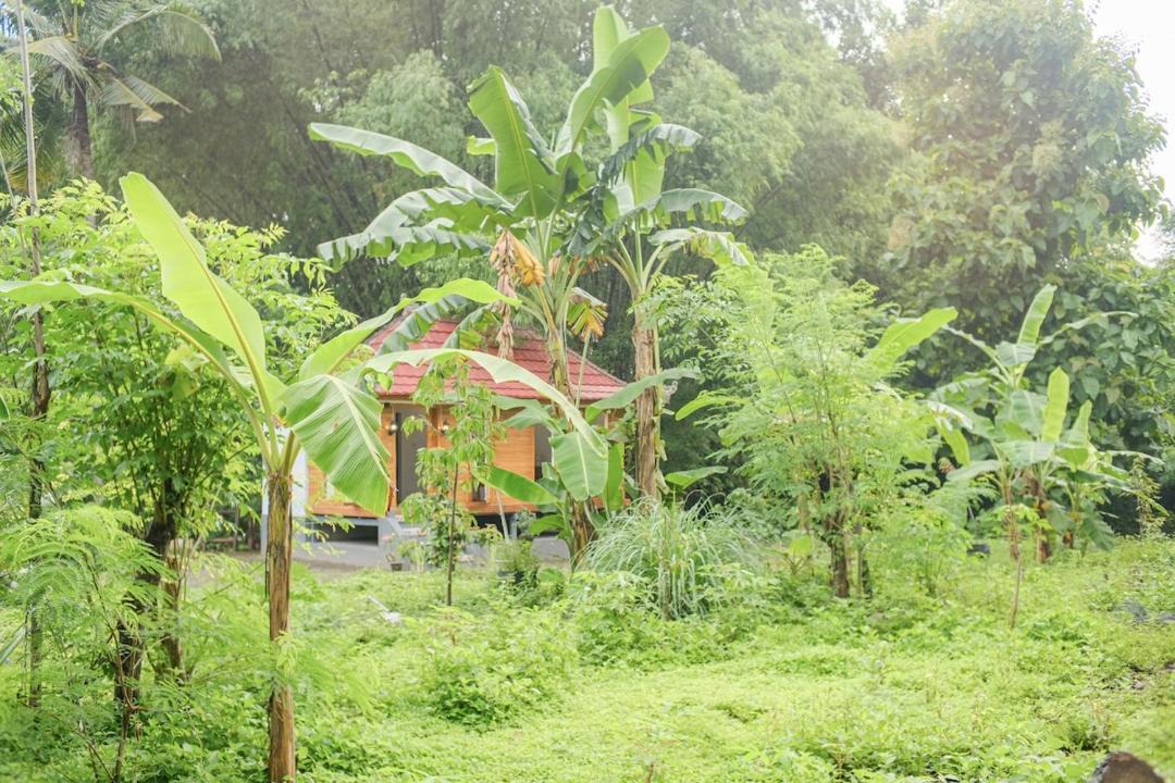 Photo of Others in Gerokgak