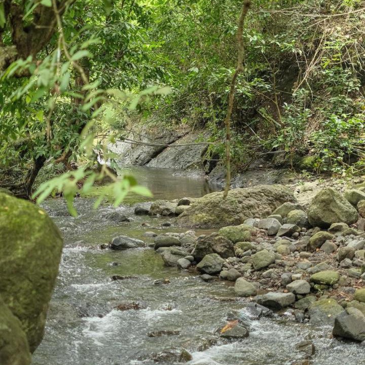 Photo of Others in Gerokgak
