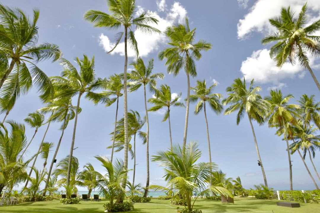 Photo of Others in Las Terrenas