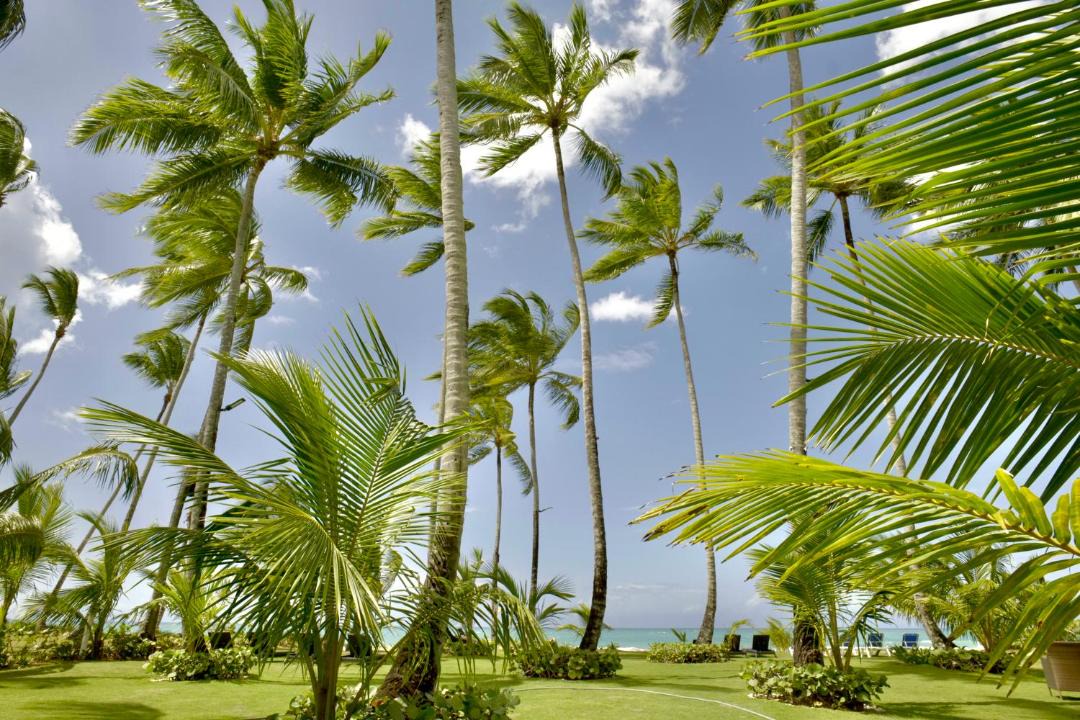 Photo of Others in Las Terrenas