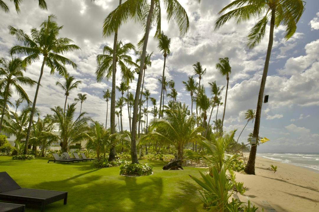 Photo of Others in Las Terrenas