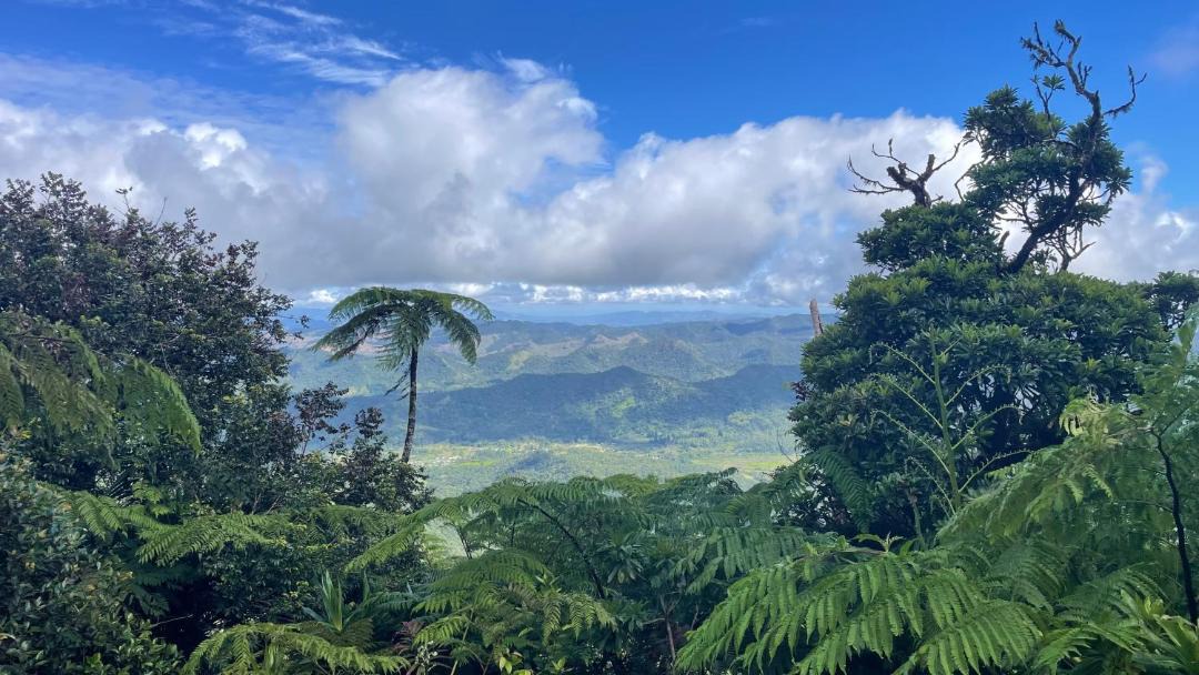 Photo of Others in Korolevu