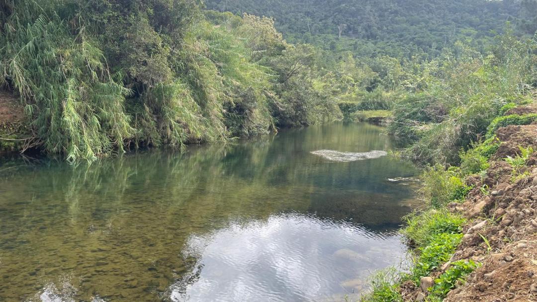 Photo of Others in Korolevu