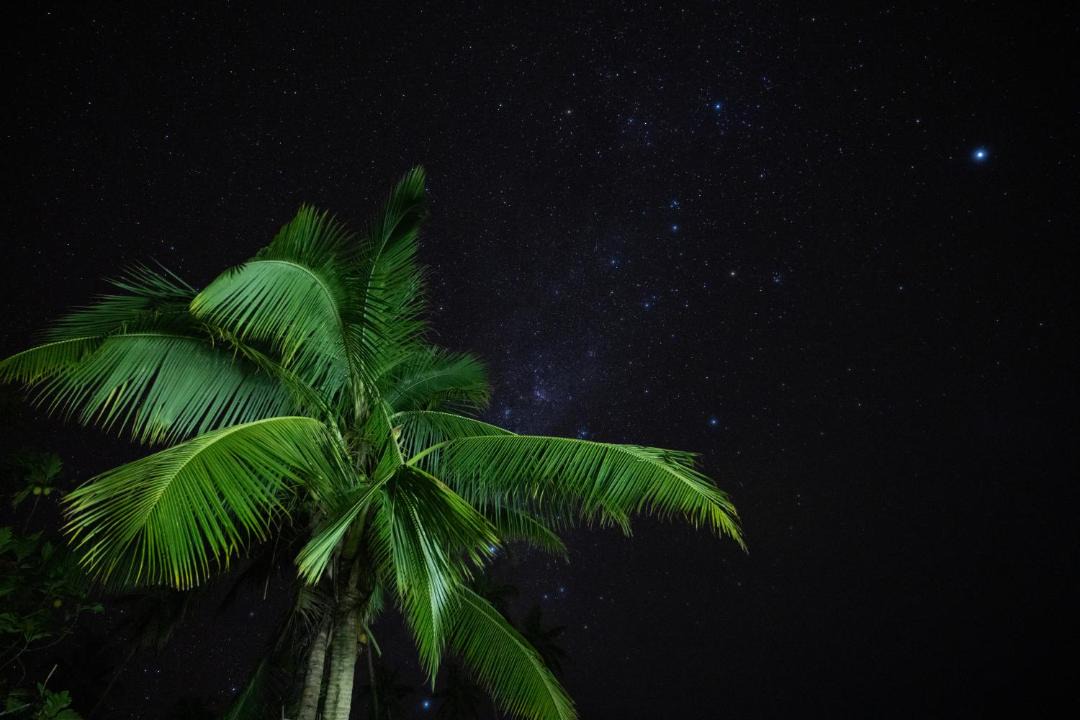 Photo of Others in Taveuni Island East