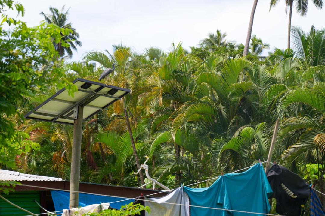 Photo of Others in Taveuni Island East