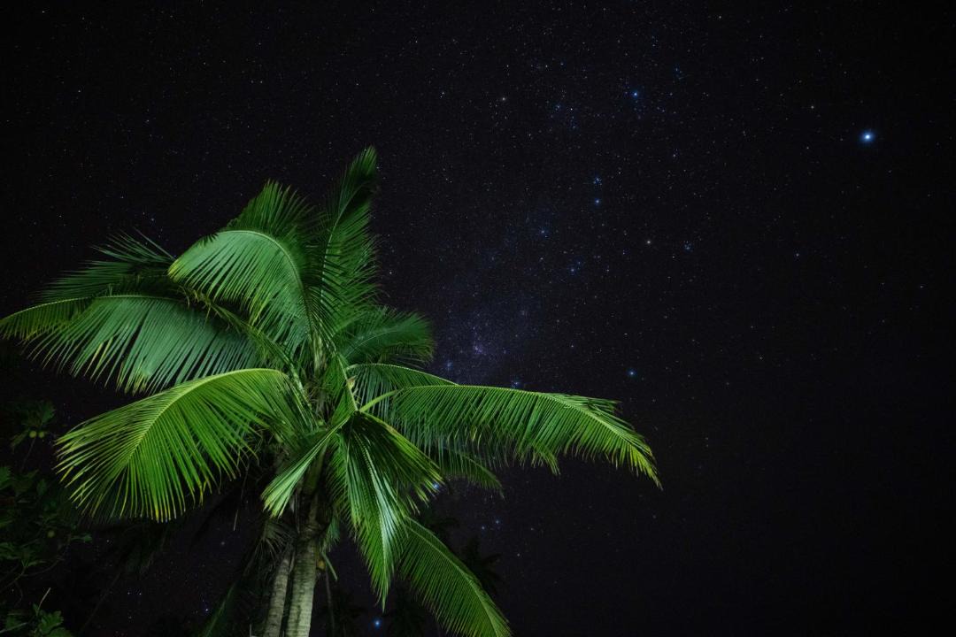 Photo of Others in Taveuni Island East