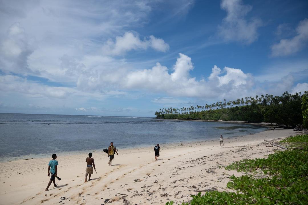 Photo of Others in Taveuni Island East