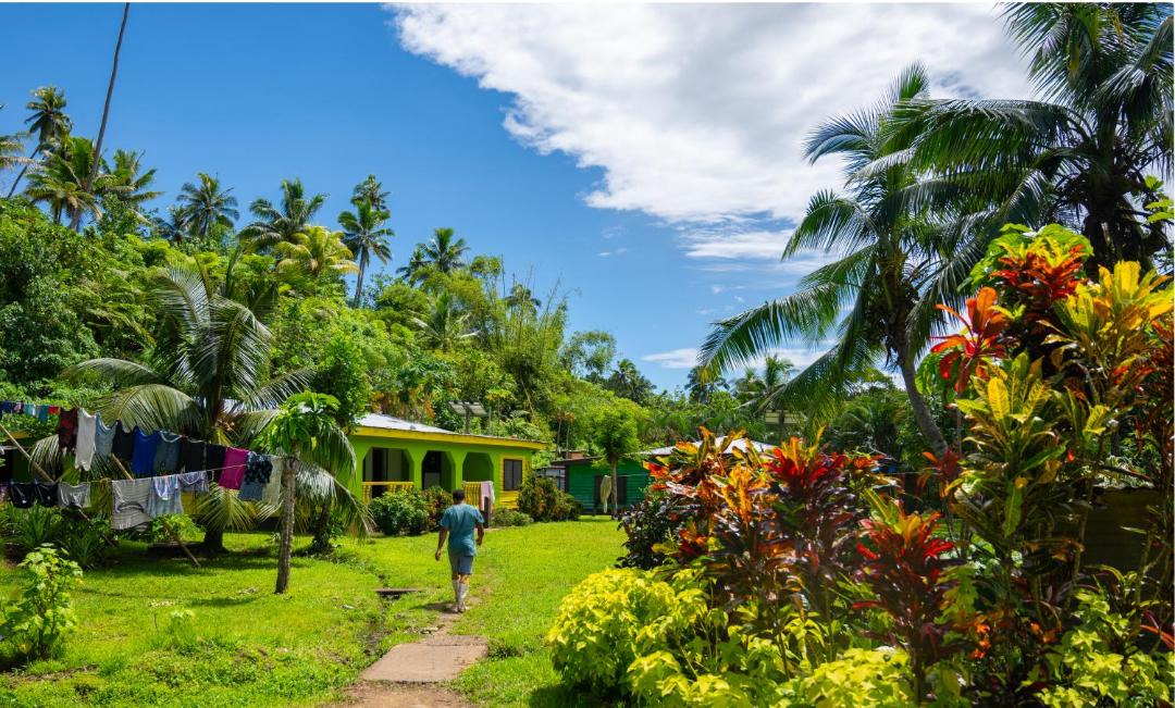 Photo of Others in Taveuni Island East