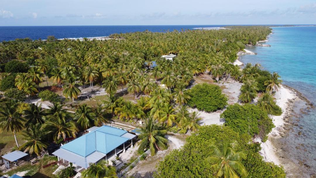 Photo of Others in Rangiroa