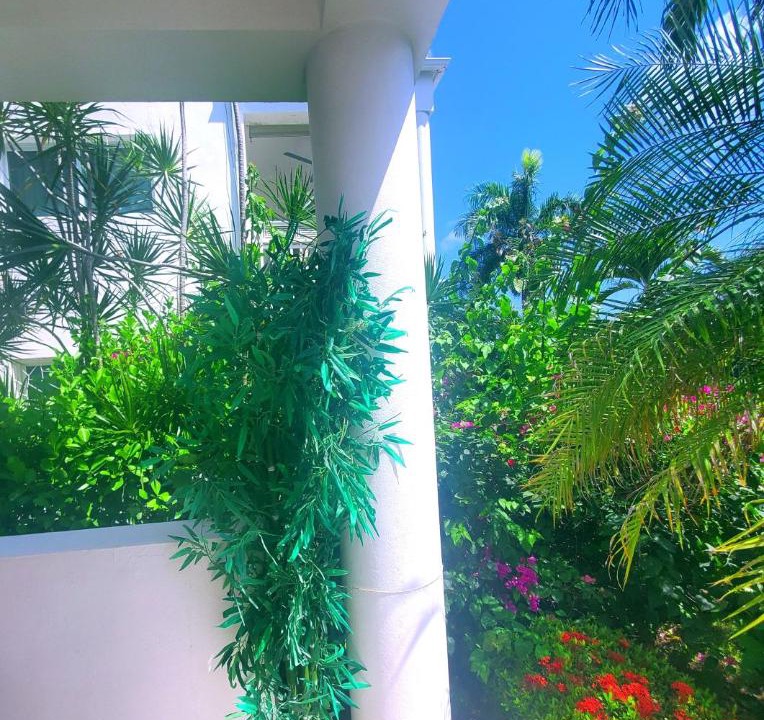 Photo of Patio Balcony in La Iglesia