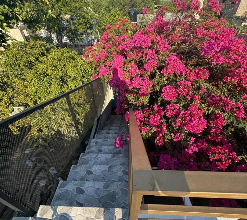 Photo of Patio Balcony in Pedernales