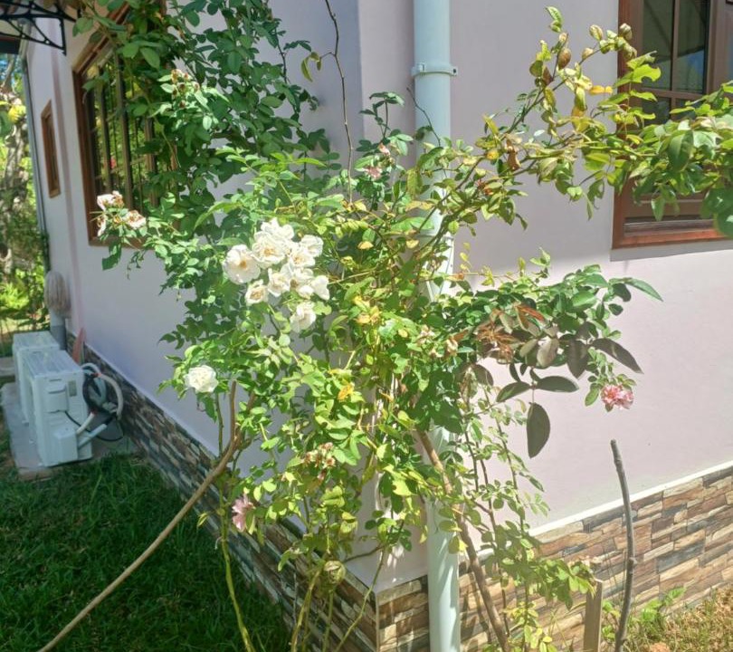 Photo of Outdoor in La Passe