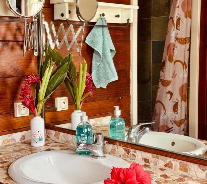 Photo of Bathroom in Teahupoo