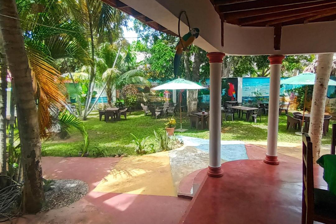 Photo of Others in Las Galeras