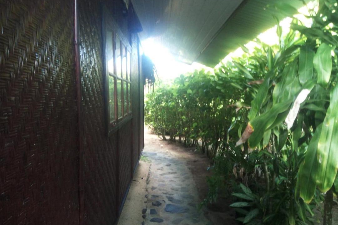 Photo of Others in Huahine