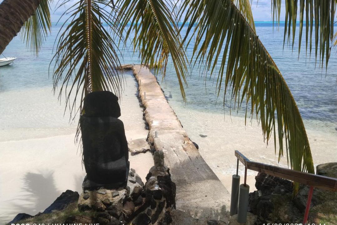 Photo of Others in Huahine