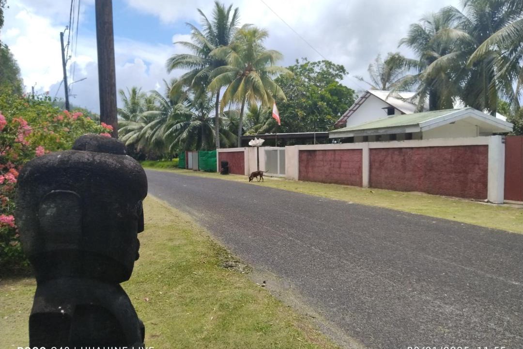Photo of Others in Huahine