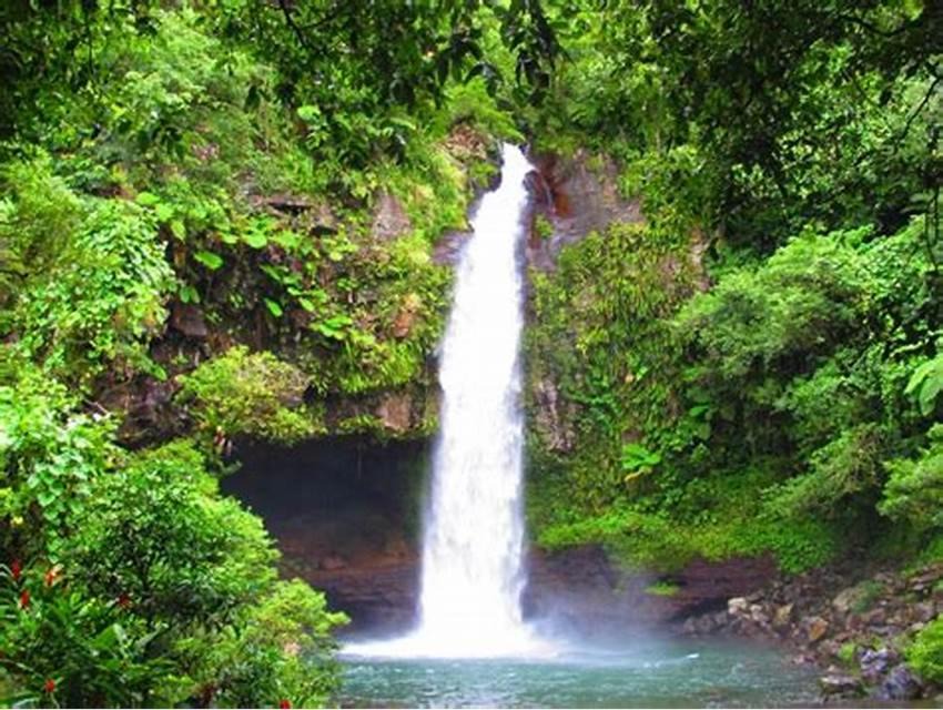 Photo of Others in Taveuni Island East
