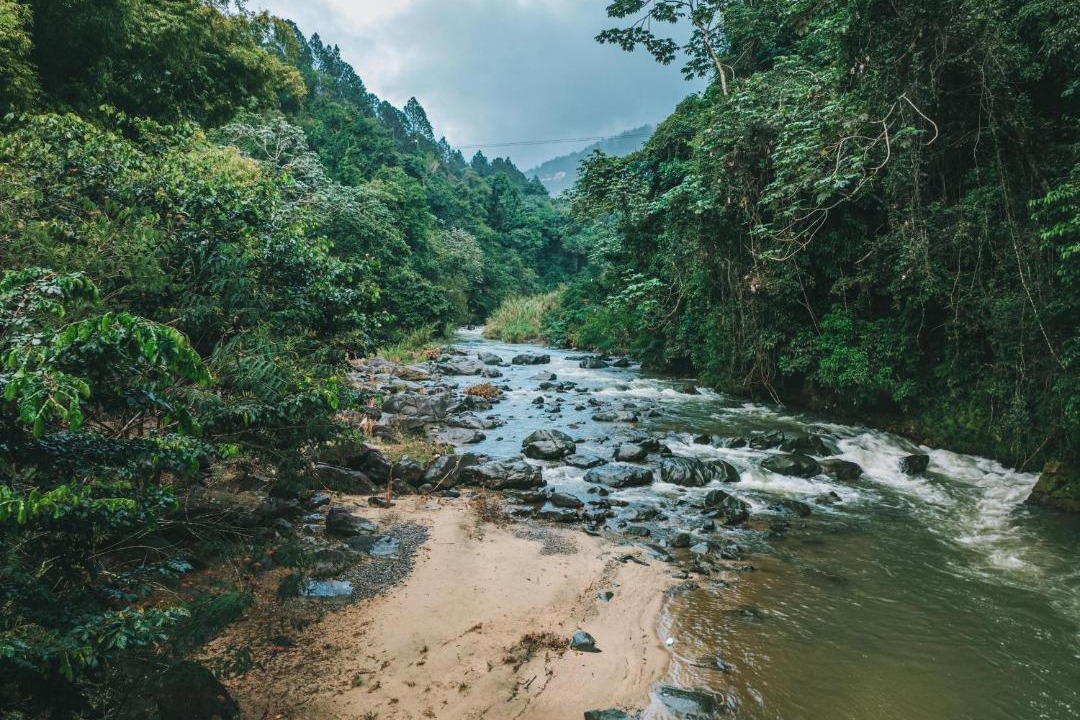 Photo of Others in Jarabacoa