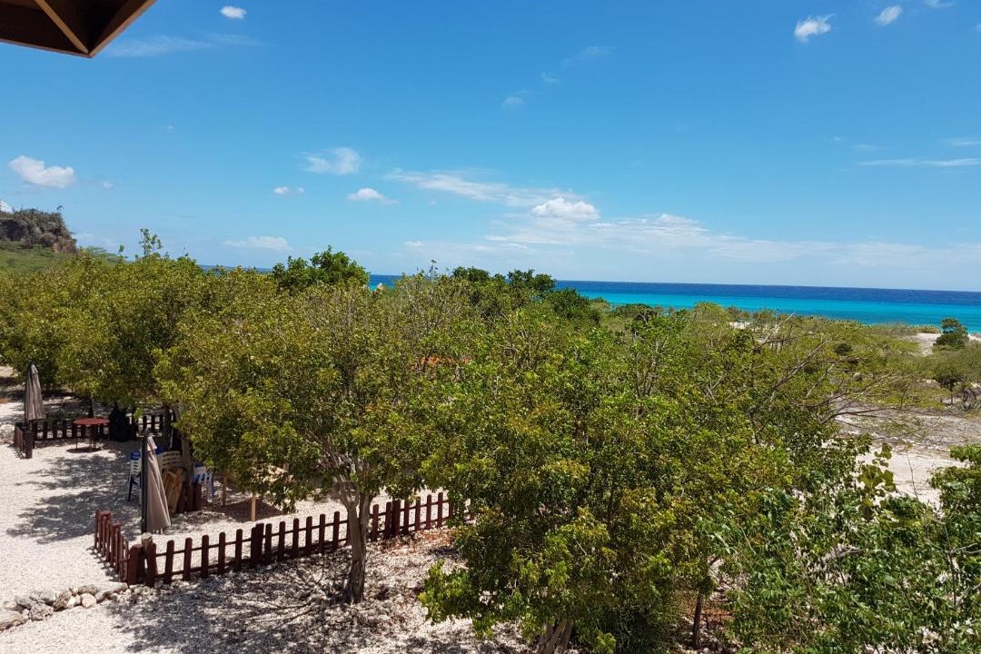 Photo of Others in Cabo Rojo