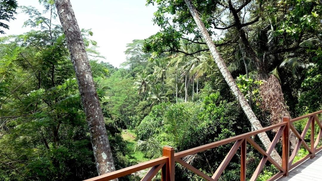Photo of Others in Melayang